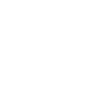 icone tiktok